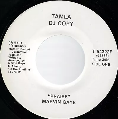 Marvin Gaye Praise USA Promo 45 Without Picture Sleeve • $39.99