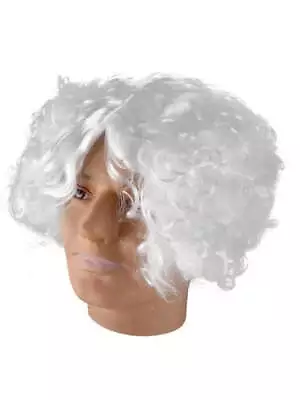 Adult Mad Scientist Wig • $29.99