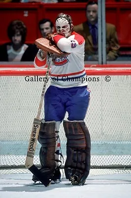 Ken Dryden Montreal Canadiens Photo #4 8x12 • $9.95