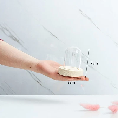 £7.51 • Buy Glass Display Dome Bell Jar Cloche Wooden Base Figure Action Gift Table Decor