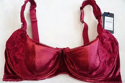 CITY CHIC PLUS SIZE 14F-G Sylvie Bra Velvet Sexy Lingerie 1/4 Cup Fox And Royal • $32.99