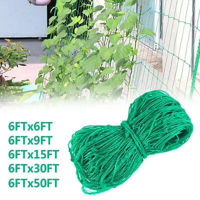 Heavy Duty Trellis Netting Plant Support Net Garden Vine Vegetable Climbing Grow • $20.46