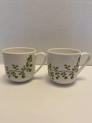 Martha Stewart Collection For Macys Maidenhair Fern Mug Set Of 2 Green White New • $17