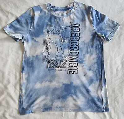 Abercormbie & Fitch Boys Motif T-Shirt Size 13-14 Years • £4.50