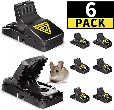 6Pcs Mouse Traps Rat Mice Rodent Killer Snap Trap Reusable Heavy Duty Pest Trap • $6.25