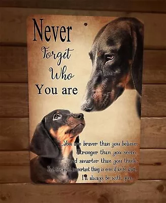 Never Forget Who You Are Dachshund Dog 8x12 Metal Wall Sign Animal Poster • $19.95