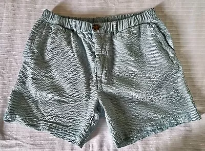 Chubbies Bushwoods Seersucker 5.5  Inseam Men’s Shorts - Size Large • $22.99