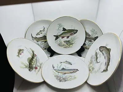 Vintage Set Of 6 KAHLA Germany Fish Pattern Salad Plates 7.5  Porcelain NICE B • $79