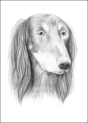 £2 • Buy Saluki Dog Greeting Card Note Greyhound Lurcher Whippet Father's Fathers Day Art