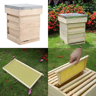 UK National Beehive Foundation Sheets And Frames Brood Box Beekeeper Beehive Kit • £35.95