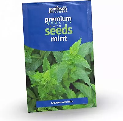 Jamieson Brothers® Mint Herb Seeds (Approx. 600 Seeds) - Premium Quality...  • £5.95