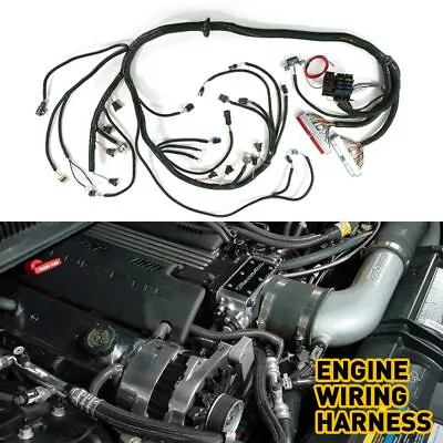 For T56 Or Non-Electric Tran 4.8 5.3 6.0 DBC LS1 97-06 Standalone Wiring Harness • $169.60