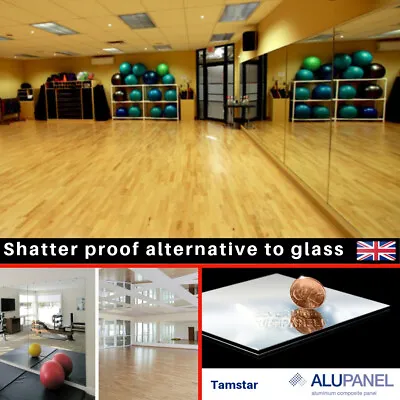 £26.99 • Buy Mirror Perspex Acrylic Plastic Sheet Panel Home Gym Dance Studio Safety School 