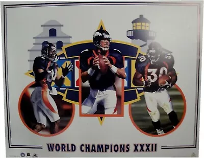 $14.99 • Buy Denver Broncos John Elway Terrell Davis World Champions XXXII 19x24 Poster Litho