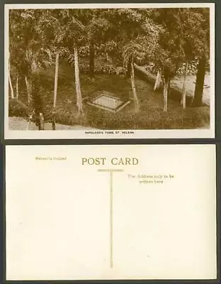 Saint St. Helena Old Real Photo Postcard Napoleon's Tomb Grave Trees Forest • £14.99