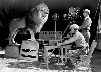 *5x7* Photo - Mgm Filming  Leo The Lion  For Official Logo Circa 1928  (rt178) • $7.98