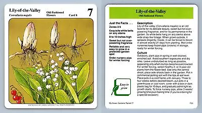 Lily-Of-The-Valley #8 Old-Fashioned - My Green Gardens 1987 Cardmark Card • £1.25