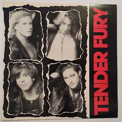 Tender Fury - S/T (Vinyl LP Record 1988 Posh Boy) Jack Grisham TSOL VG/EX • $29.97