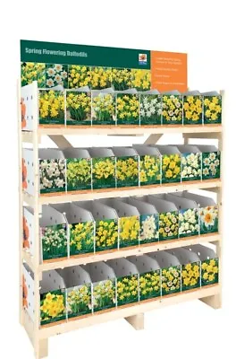 De Ree UK Daffodil Collection Individual Packs • £6.69