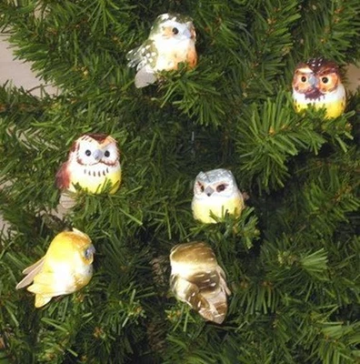 $31.07 • Buy Darling Barn Owl Mushroom Birds