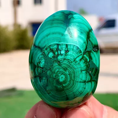 120G Natural Glossy Malachite Egg Transparent Cluster Rough Mineral Sample • $0.99