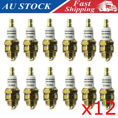 12PCS Spark Plug L7T BM6A BPMR7A RCJ6Y RCJ7Y For Wacker Echo NGK Makita Carlton • $20.99