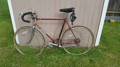 Nishiki Road Bicycle Japanese Diacompe Suntour Sugino Avocet 4130 Vintage VTG • $345