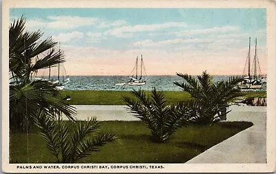 Vintage Postcard ~ Palms & Water ~ Corpus Christi Bay ~ Corpus Christi Texas • $6.75