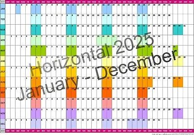 2025 YEAR WALL PLANNER Office Organiser Event Planner A3 A2 A1 A0  Jan - Dec • £6.75