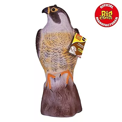 Large Falcon Bird Deterrent Scarer Bird Of Prey Lawn Garden Pest Protection 35cm • £18.50