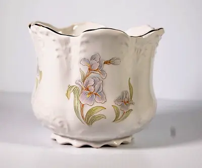 £9 • Buy Maryleigh Pottery Planter Iris Ceramic Vase Decorative Plant Pot