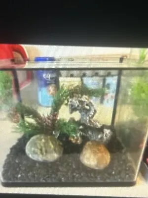 Fish Tank  • $50