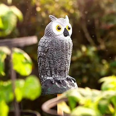 Owls To Frighten Birds Realistic Owl Garden Statue Decoration Owl Decoy Birds • £13.36