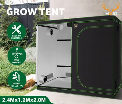$209.95 • Buy Mobi Grow Tent Kits 2.4m X 1.2m X 2m Hydroponics Indoor Grow System