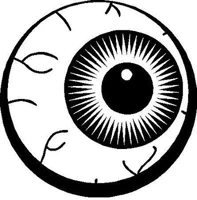 Eye Eyeball Car Decal Sticker • $4.32