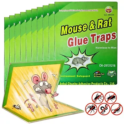 10 Pack Large Mouse Glue Traps With Enhanced Stickiness Rat Snake Sticky Pad Bo • $22.99
