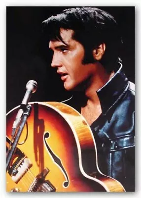 Elvis Presley - The King Of Rock 'n' Roll 24 X36  Art Print Poster • $13.49