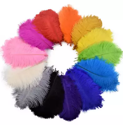 5pcs 15-20cm Ostrich Feathers 26 Colours Craft Cake Wedding Party Decoration • $4.95