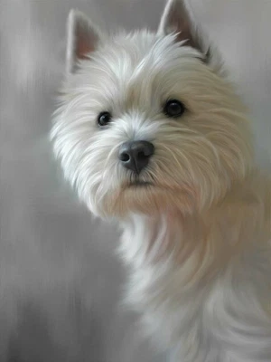 £119 • Buy Nigel Hemming West Highland Terrier Print,  Art Canine Ltd Edition  #1