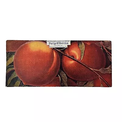Vtg Ephemera Early 1900s Fruit Crate Label Burbanks July Alberta Peaches • $9.99