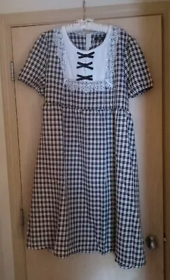 Nwt Plus Size Dress Gingham Lace Cottagecore French Vintage-style 48in Waist 4x • $35