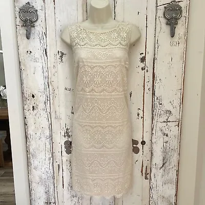 Max Studio Size Small Woman's Ivory Lace Sleeveless Career Party Dress • $20.99