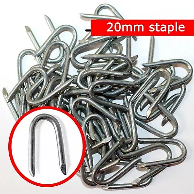 £2.99 • Buy Galvanised U Nails 20mm Netting Fencing Staples Chicken Wire Mesh Fences