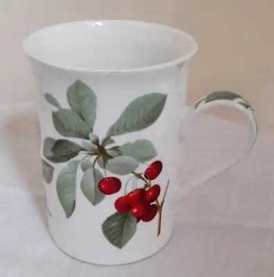 £10.50 • Buy Regal Spencer Fine Bone China Collection Winter Berries Leaves Mug VGC
