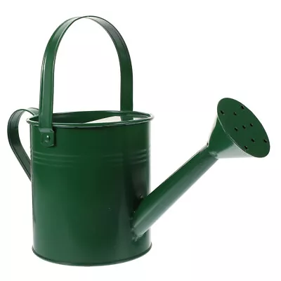 Metal Long Spout Watering Can With Handle For Garden And Plants-SK • £11.85