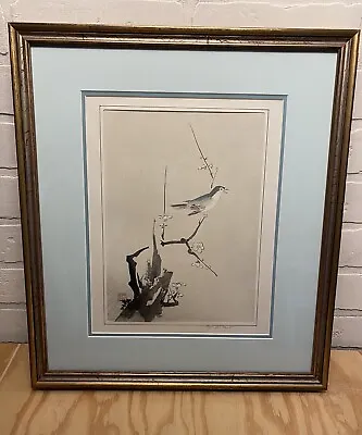 Vintage Asian Watercolor Art Of Bird On Branch Cherry Blossom Signed Framed • $49