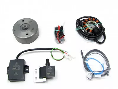 $1053.88 • Buy Powerdynamo MZ-B VAPE Ignition Stator System For Yamaha SR TT XT 500 2 Coils DC