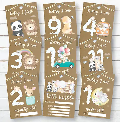 Baby Animal Milestone Cards • Baby Shower Gift • New Baby Gift • Unisex • £5.99