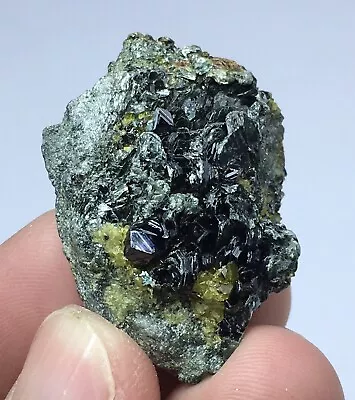 Magnetite Crystals Combine With Clinochlore Mica • $20