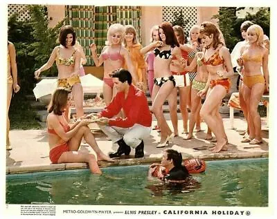 Elvis Presley California Holiday Original Lobby Card Sexy Bikini Blondes At Pool • $34.99